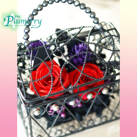 フリースタイルレッスン