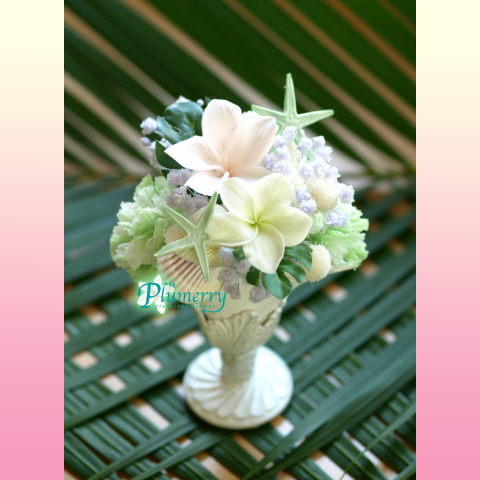 プルメリアのシェルポット