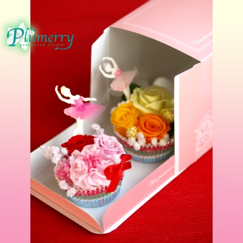 プリザーブド体験レッスン