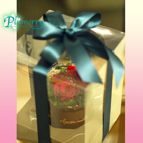 プリザーブドフラワー　アプレミディ　フラワーポット