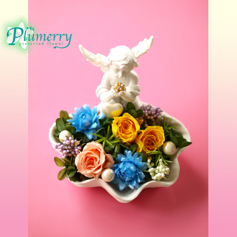 プリザーブドフラワー　エンジェル　シェル