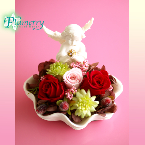 プリザーブドフラワー　エンジェル　シェル