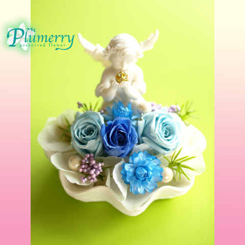 プリザーブドフラワー　エンジェル　シェル