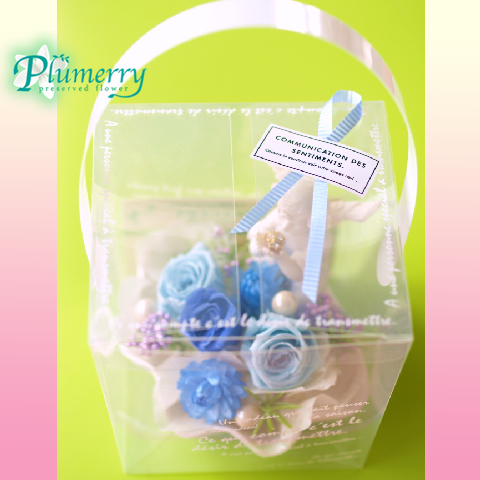 プリザーブドフラワー　エンジェル　シェル