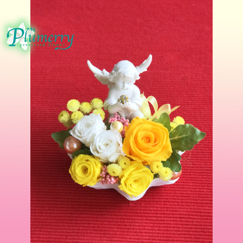 プリザーブドフラワー　エンジェル　シェル