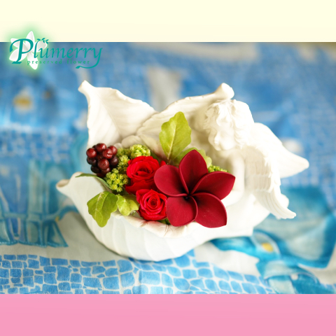 プリザーブドフラワー　エンジェルリーフ　プルメリア