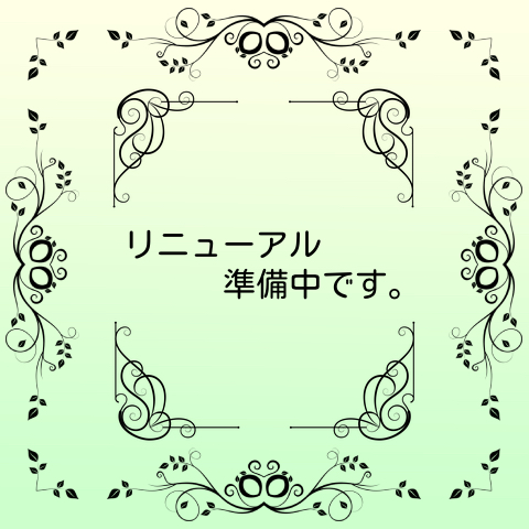 フリースタイルレッスン