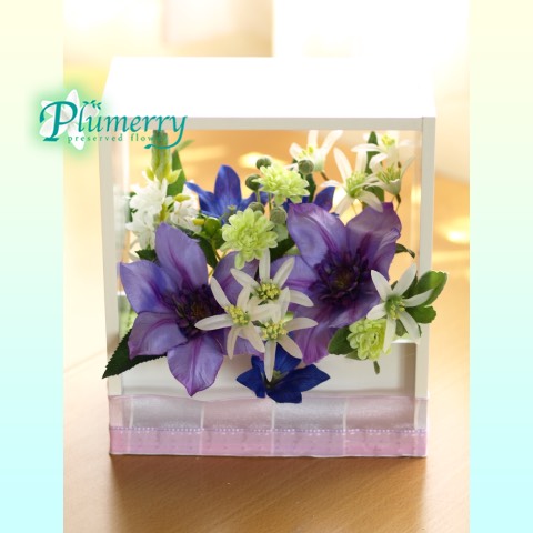 8月ウッドフレーム