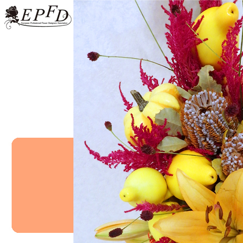 10月ハロウィン