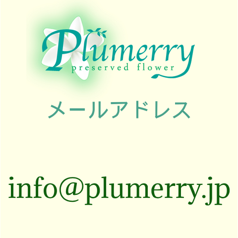 ”メールアドレス”